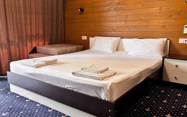 Lion(Алахадзы)