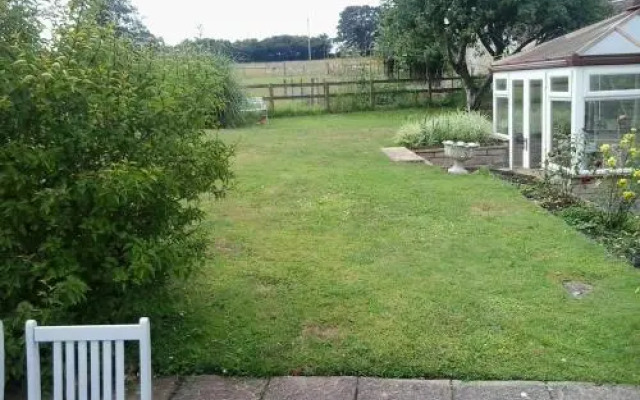 Yew Tree View