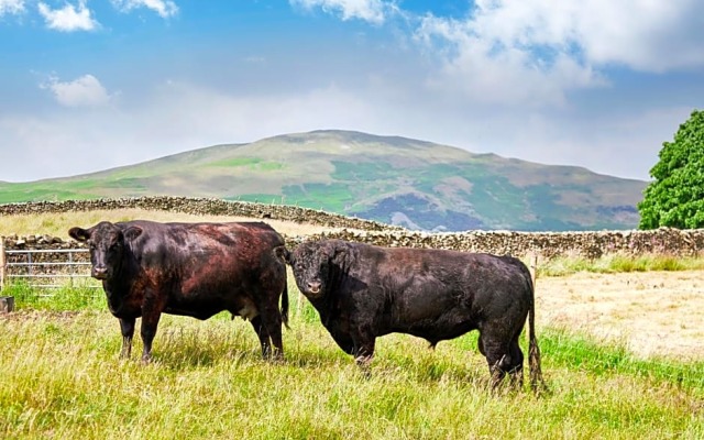 The Dalesman Country Inn