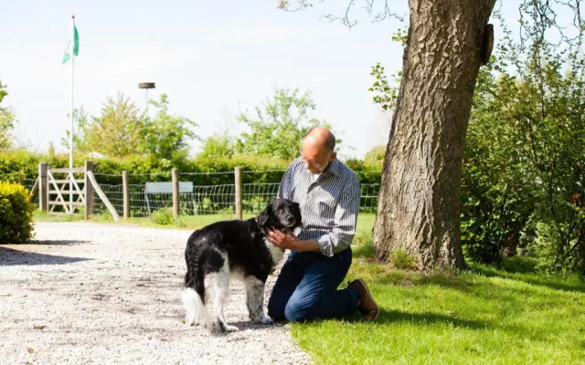 Bed and Breakfast Klein Groenbergen