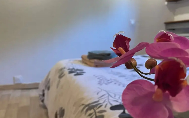 Péniche Le Pescalune - Chambre d'hotes