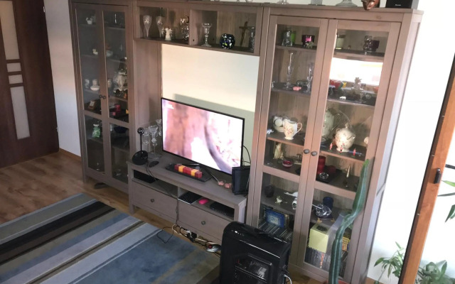 luxury apartment mihai bravu