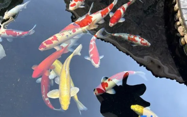 xunmengchangli  Homestay