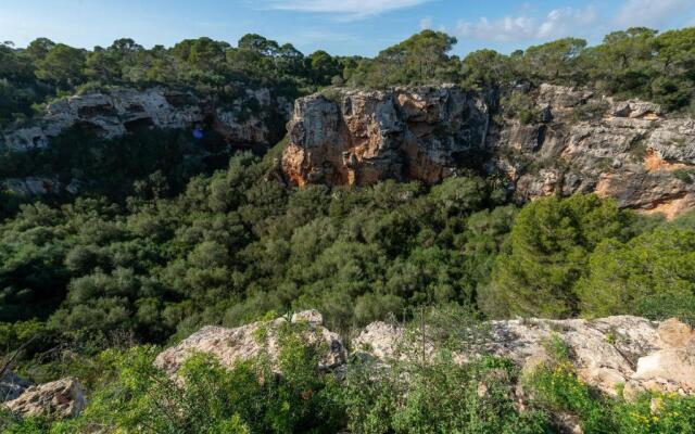 The Torrents Observer Holiday Home