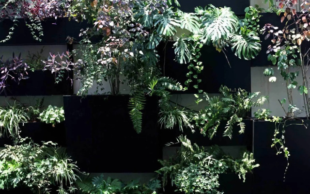 Del Carmen Concept Hotel