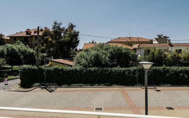 Mimosa 1 int 7 in Cervo