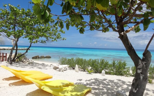 Rangiroa Tiputa Lodge B&B