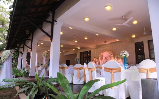 Palms, Mount Lavinia