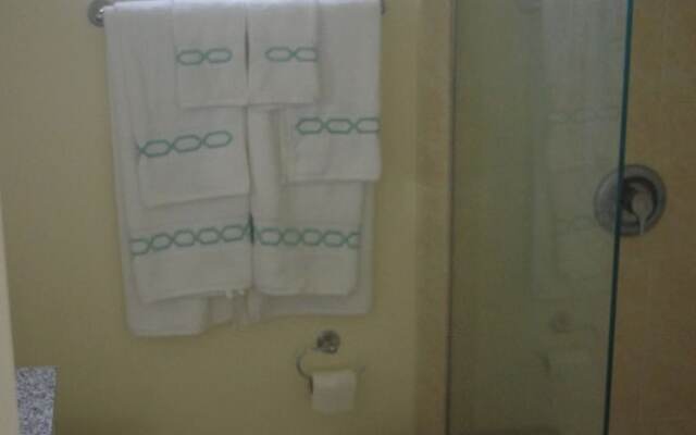 Palm BlossomJA Manor