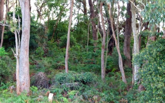 Bagnall Beach Apartments, Unit 5/153 Government Rd