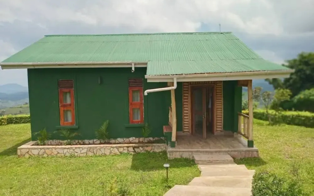 ngirisi hill silverback  lodge-bwindi
