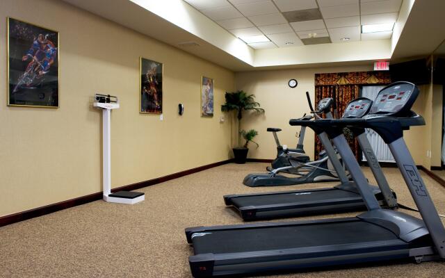 Holiday Inn Express Hotel & Suites DFW Airport South by IHG