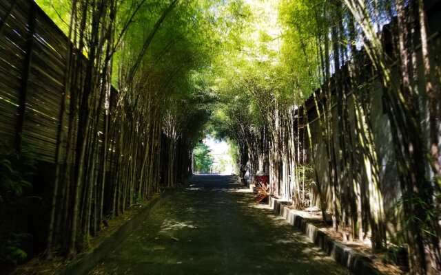 Kampoeng Bamboo