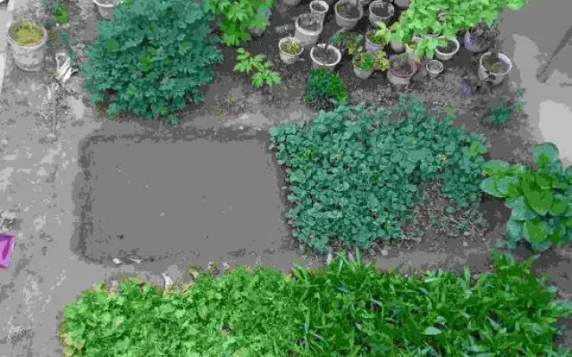 Yiyuan Keyuan Farm House