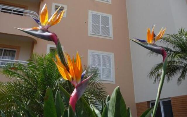 Apartamento Funchal Sunshine