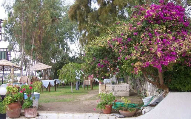 Papillon Hotel Cesme