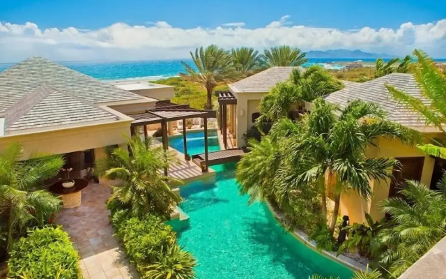 Anguilla's Bird of Paradise