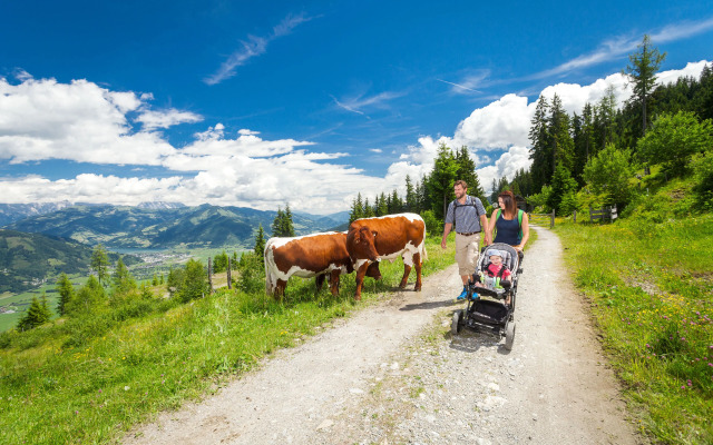 Komfort Appartements serviced by Auhof