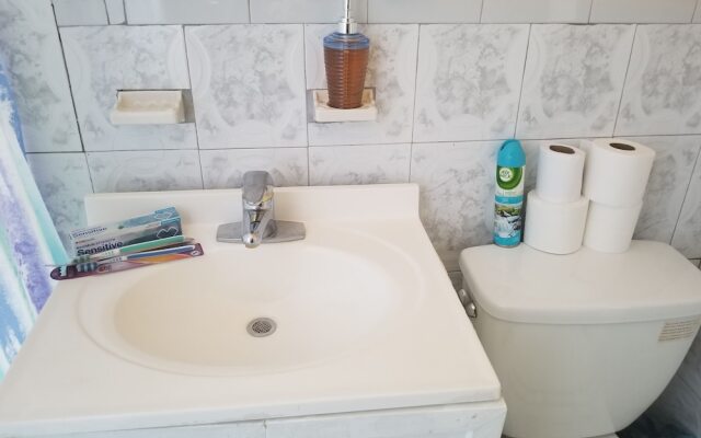 Walk in the heart of Wynwood