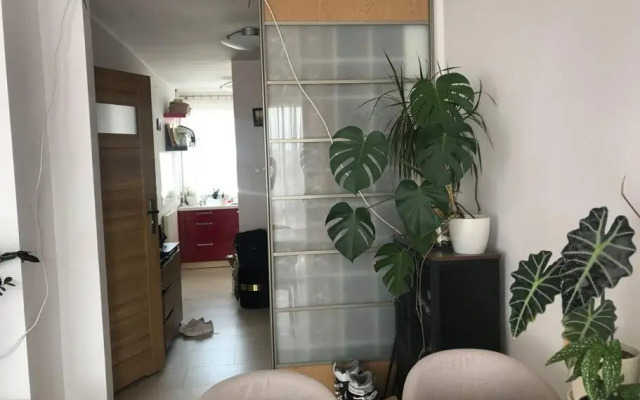 Mieszkanie 4-6 os. w Gdyni Redłowo