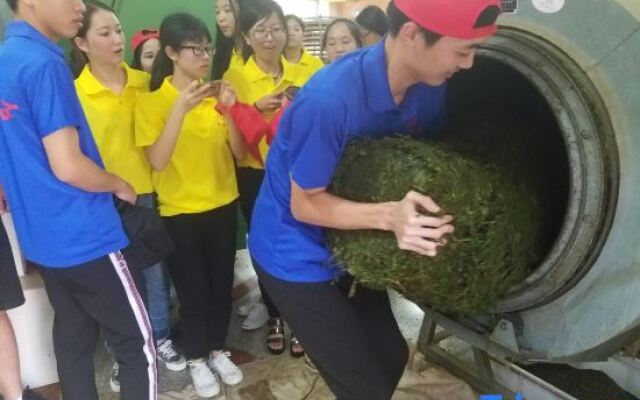 Floral Luxury Tea House (Nanjing Tulou)