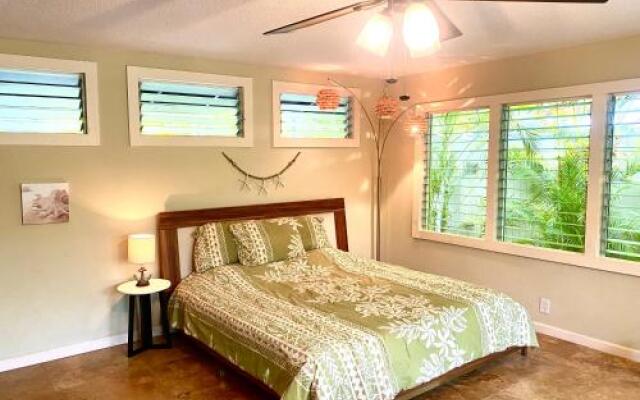 Brand New Kailua Beach