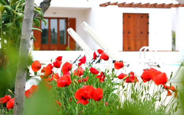 Skopelos Summer Homes