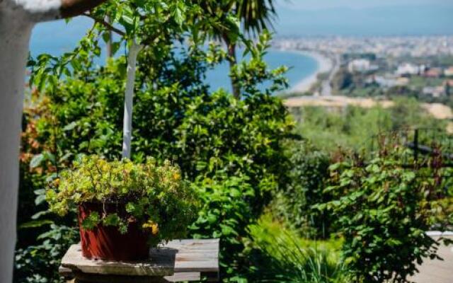 Vasiliki Guest House