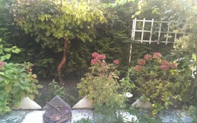 Roses Garden
