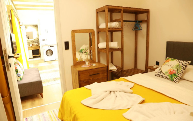 Tiny House Echino söğüt