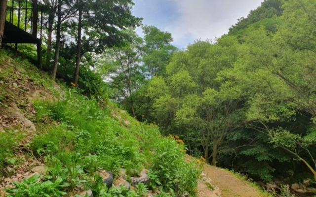 Yecheon Mulmalgeun Sangol Pension
