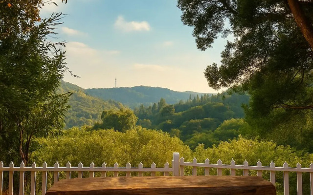 Amber by The Tamarillo