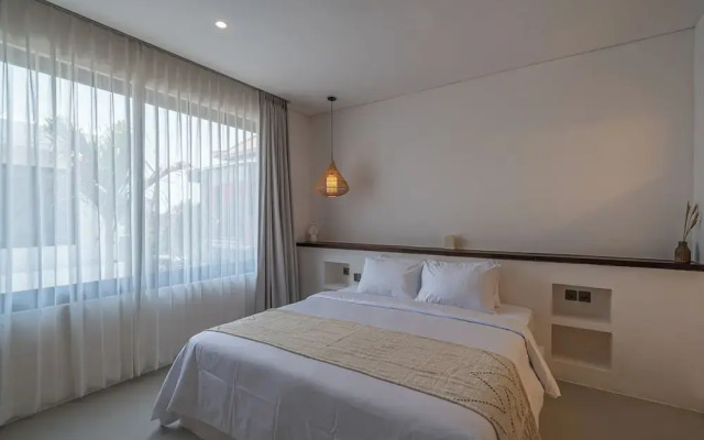 Nova Oasis 3
