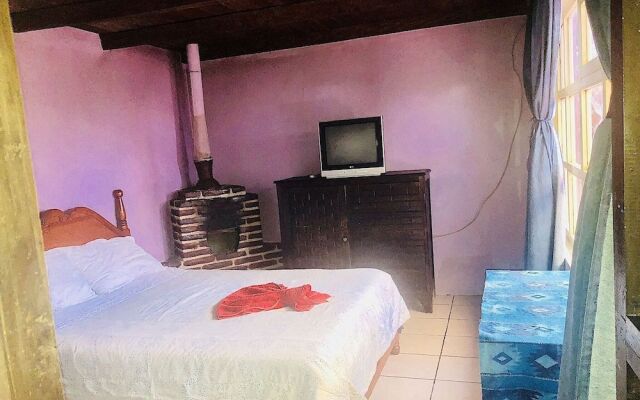 Amazing House of View