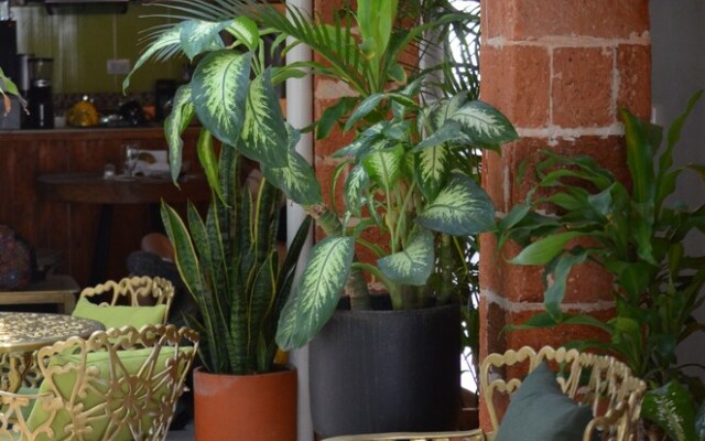 Selva Maria Hotel Boutique