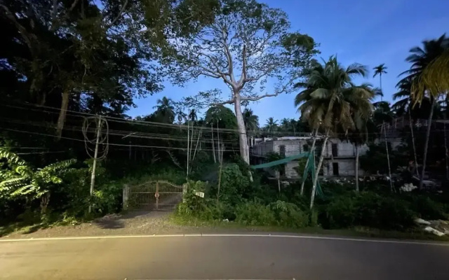 White Pearl Homestay