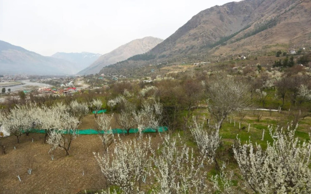 Acorn Rooms By OYO Rooms