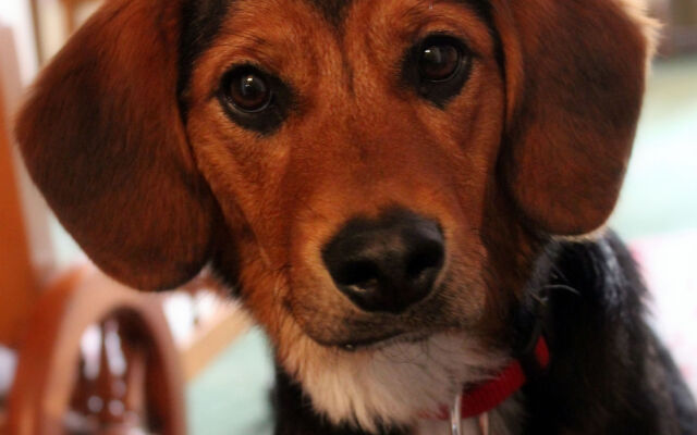 Hotel Am Josephsplatz