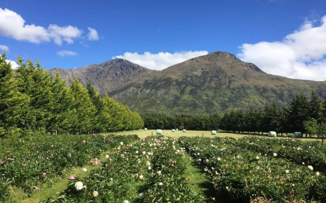 Queenstown Country Lodge