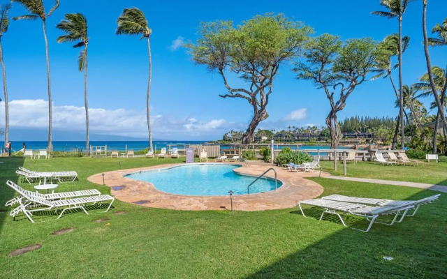 Napili Surf 209, Napili