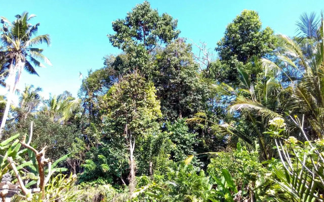 Rusma House Ubud