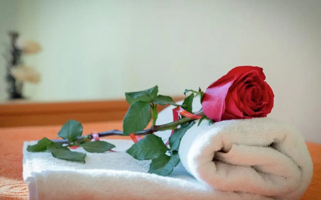 Apartment in Dalmatia near Sea