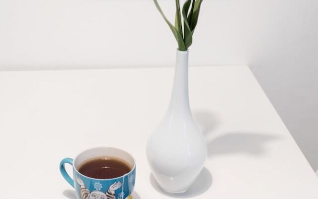 Charming Milanese Apartments