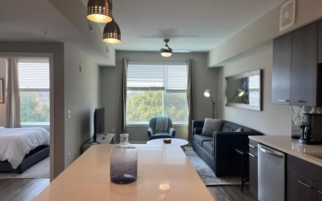 The Elvis Presley Urban Luxury Apts Austin