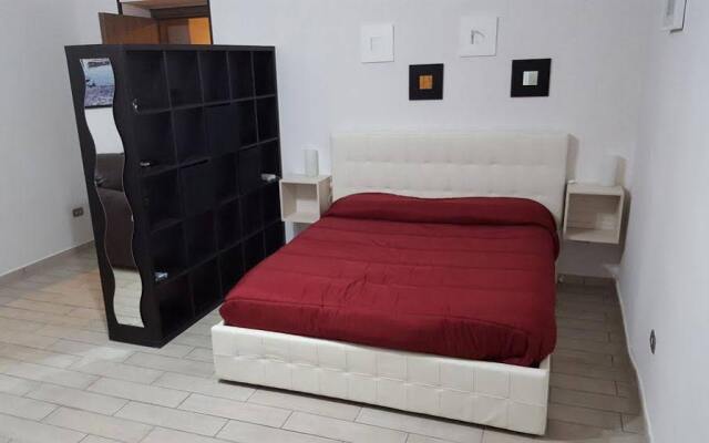 Museo Home