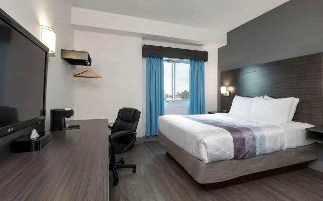 Comfort Hotel