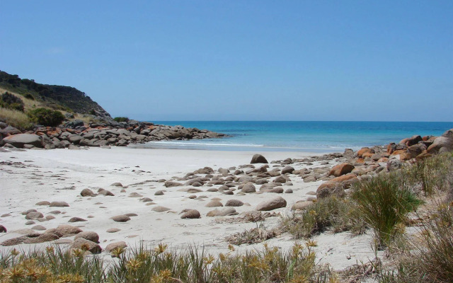 Sea Dragon Kangaroo Island