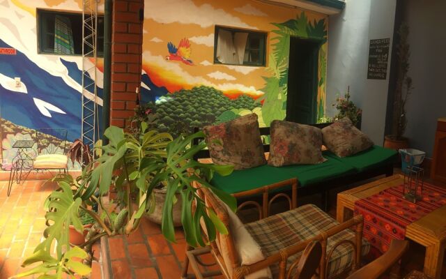 Greenhouse Bolivia - Hostel