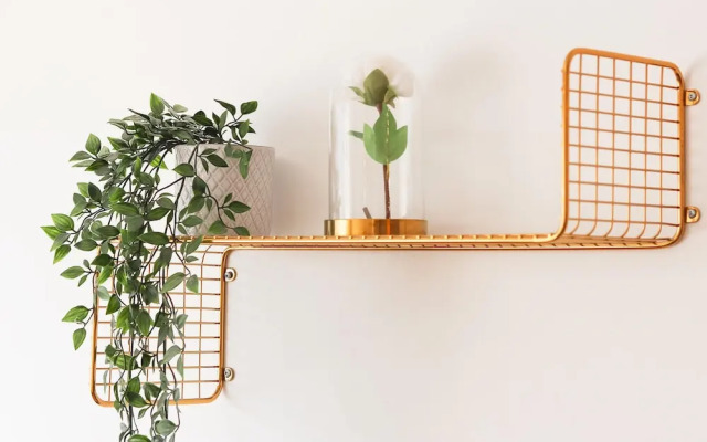 Laranjeiras Design by Homing
