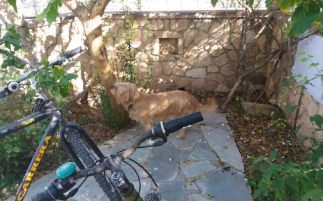 Antonia's House with Free Bikes